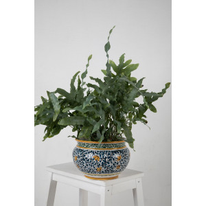 Włoska doniczka - Vaso fiori di limoni S
