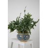 Włoska doniczka - Vaso fiori di limoni S